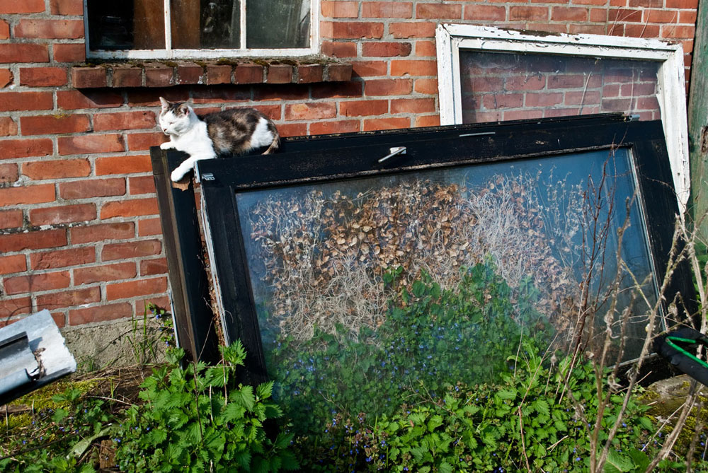 French Window